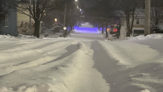 Cancellations and closures pile up as large snowstorm hits N.S.