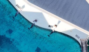 Marineland gets ‘conditional approval’ from Ottawa to ship 30 belugas, 4 dolphins to U.S.