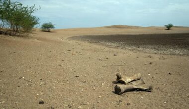 World enters era of ‘global water bankruptcy’