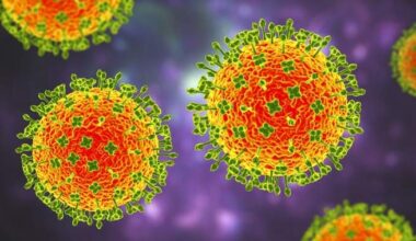 What is Nipah virus? What to know about the disease as India faces outbreak - National