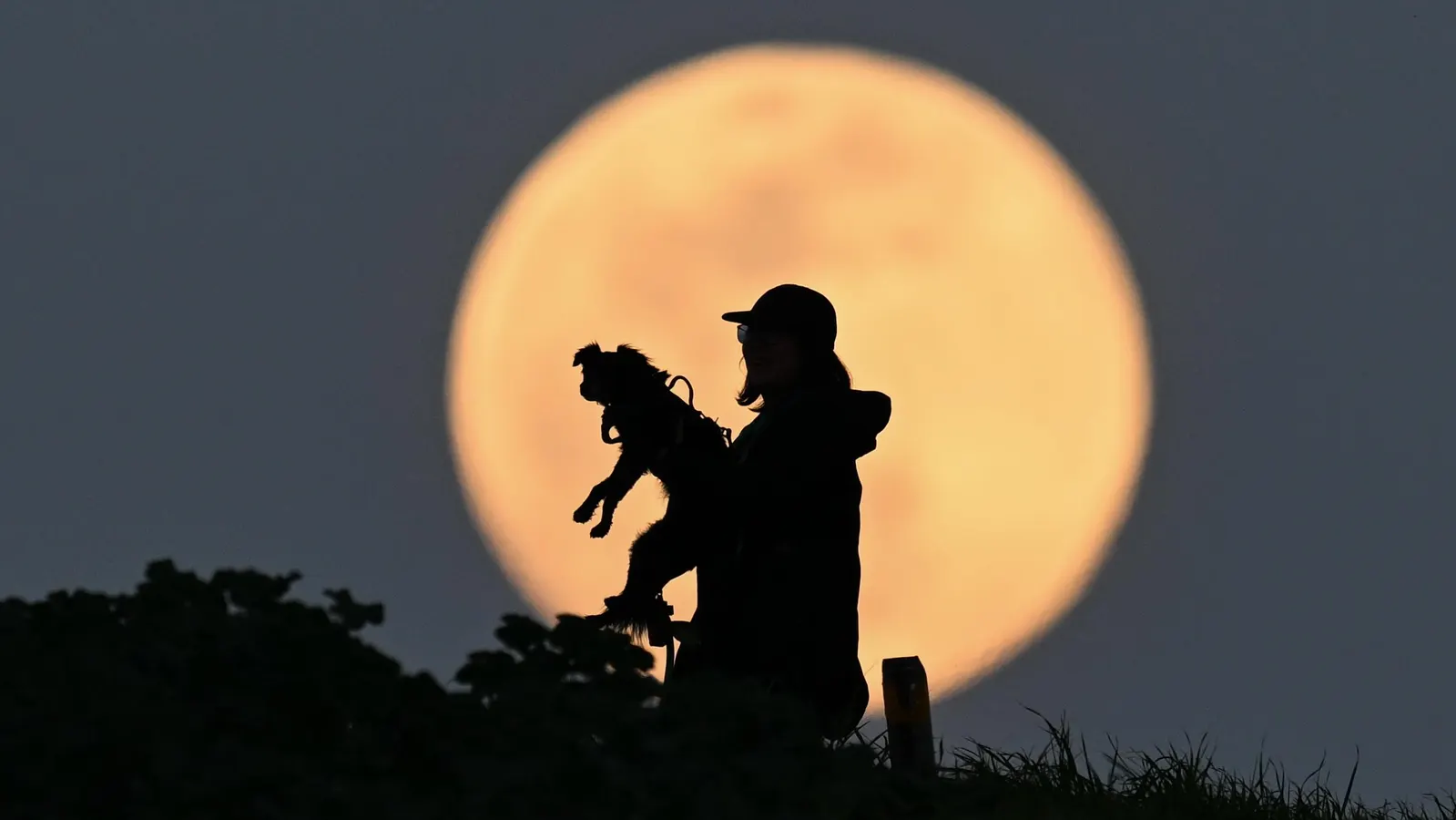 Exactly When To See The ‘Snow Moon’ Rise