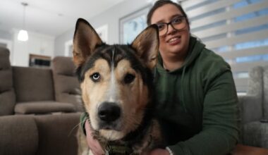B.C. woman urges dog owners to watch their pets on walks after husky overdoses on cocaine