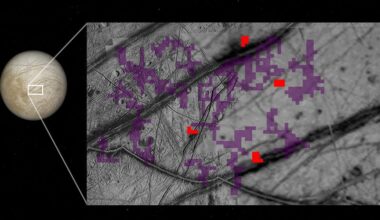 Recent study of NASA's Galileo mission points to Ammonia on Europa's surface