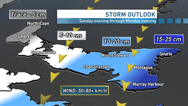 February could start with more snow and messy weather on P.E.I.