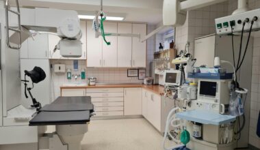 How U.S. trade policy affects health care