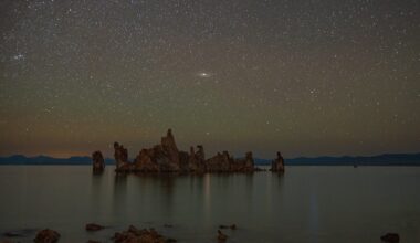 What’s Up: February 2026 Skywatching Tips from NASA