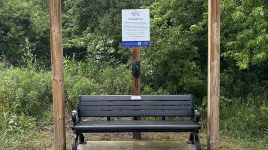 A bench with a forest and a phone behind it