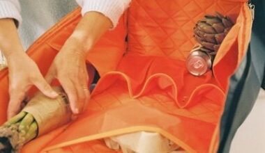 A Stylish, More Functional Update to the Granny Cart