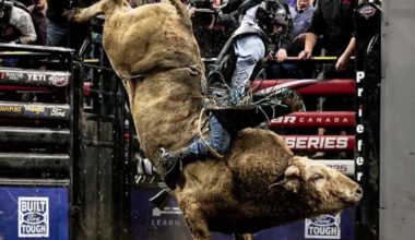 Man vs. Bull: Red Deer Hosts the PBR Canada Cup Series Saturday - CentralAlbertaOnline.com