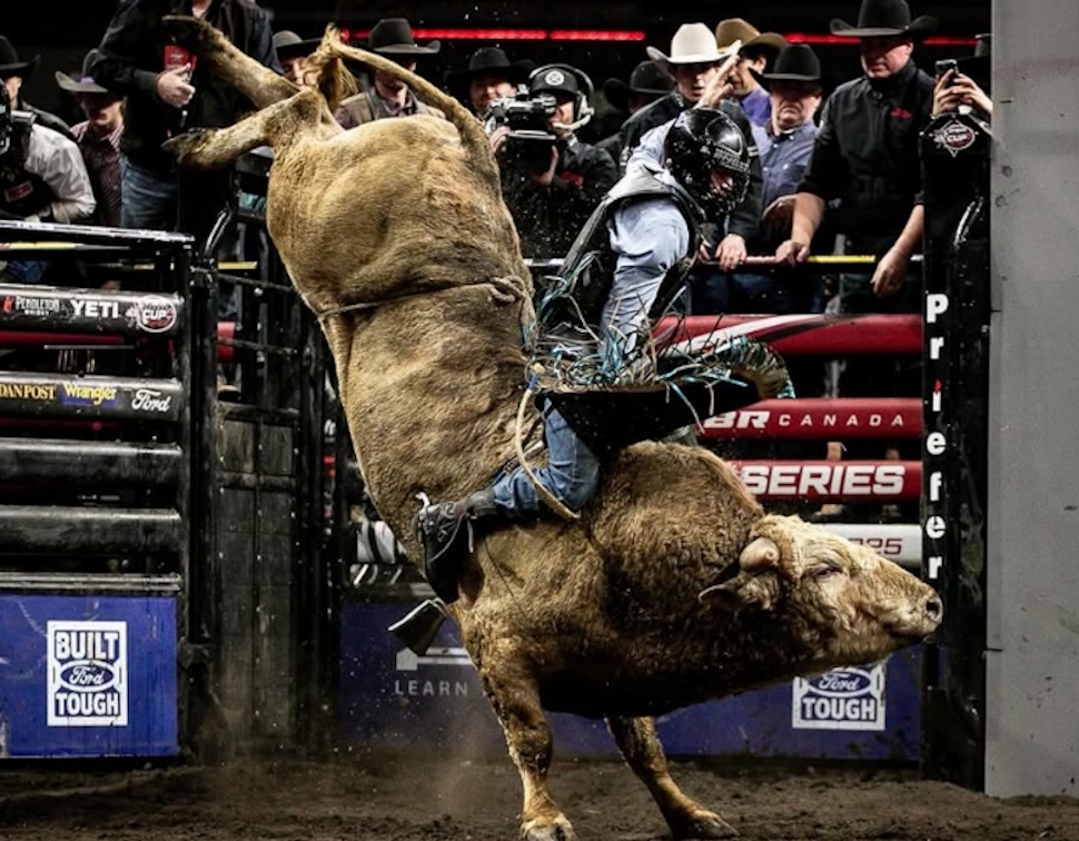 Man vs. Bull: Red Deer Hosts the PBR Canada Cup Series Saturday - CentralAlbertaOnline.com