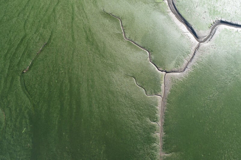 Aerial view of a green marshland with winding, narrow water channels and textured grass or moss covering the landscape.