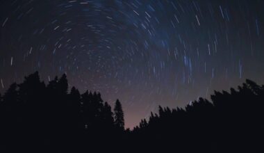 2026's Meteor Showers Could Be The Best In Decades, Here’s When To Watch