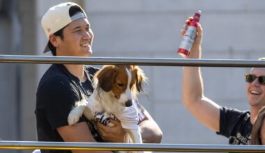 Shohei Ohtani's Dog Decoy Receives Award in Photo at 2025 BBWAA Awards Dinner