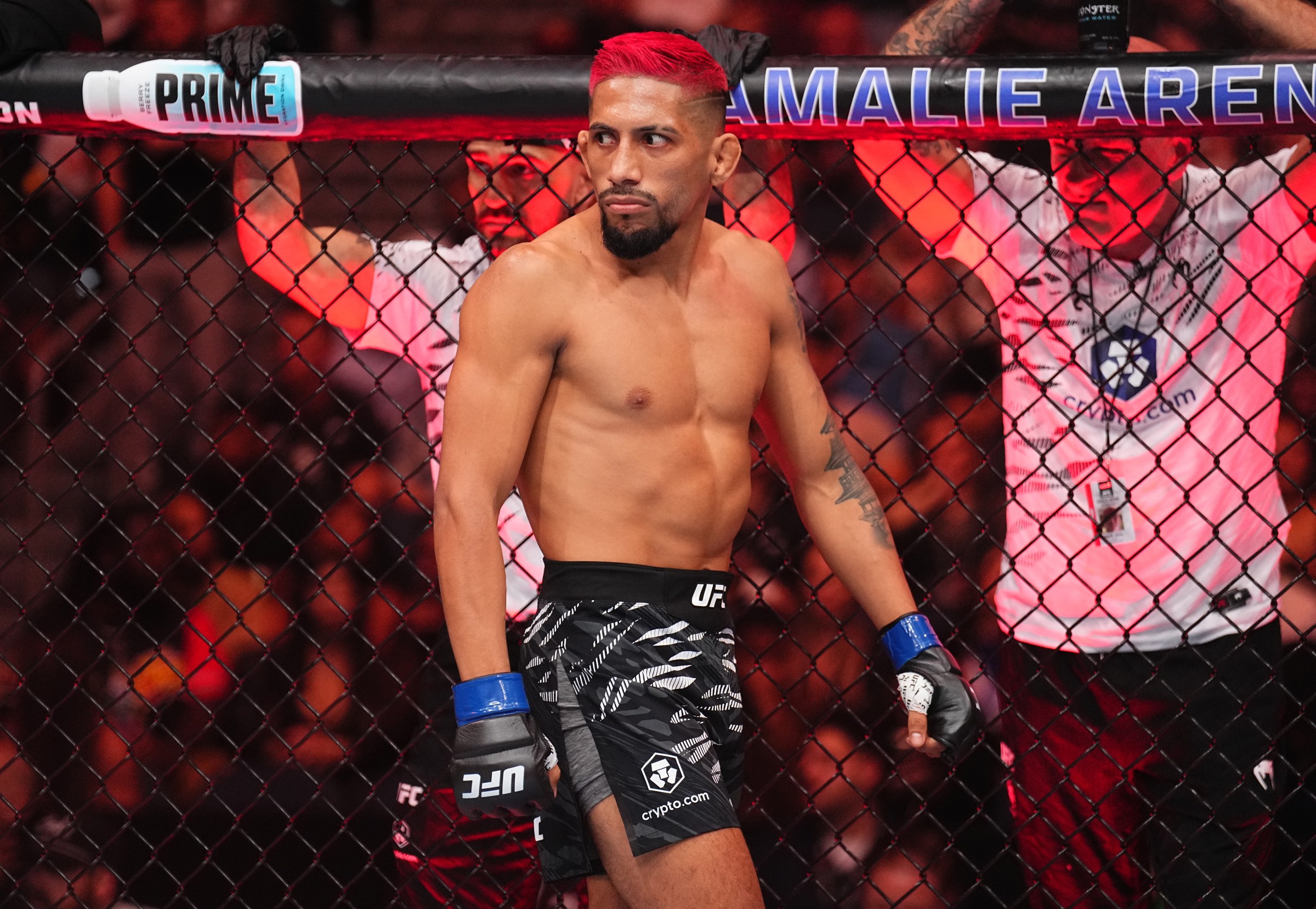 UFC Fight Night: Yanez v Marcos