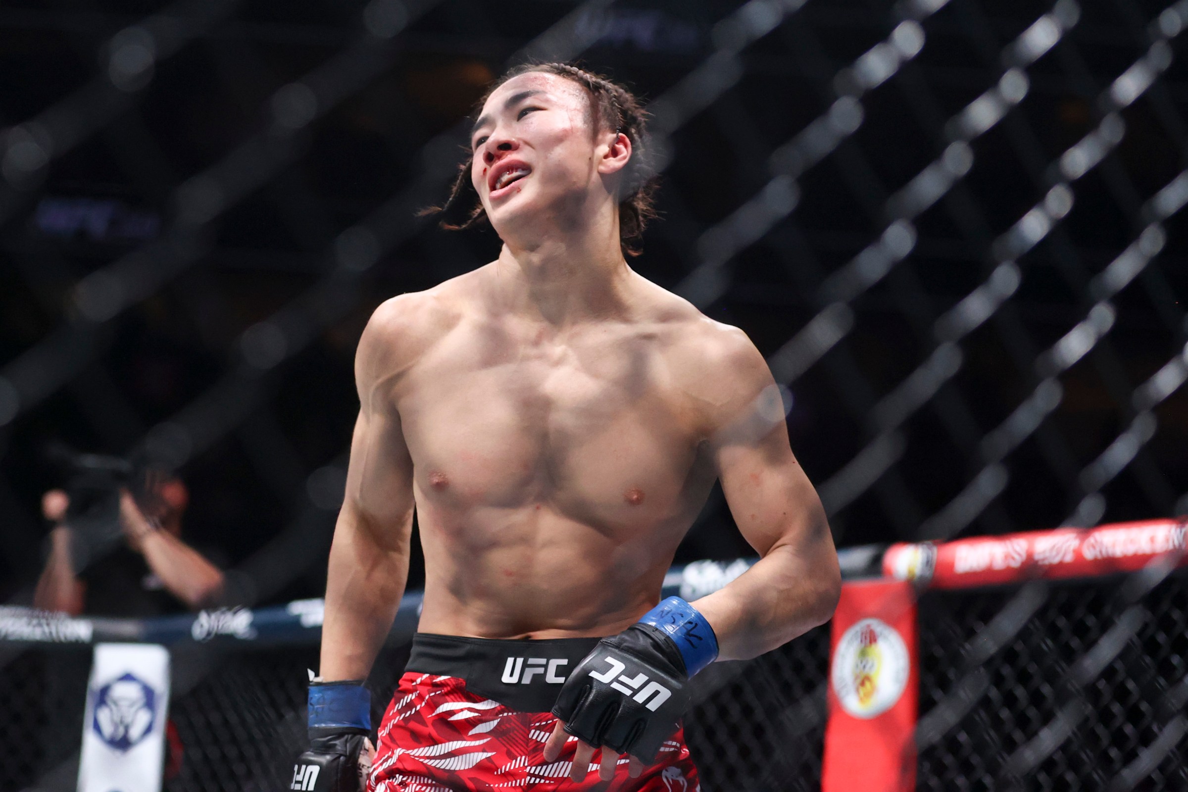 UFC 313: Pereira v Ankalaev