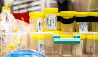A stack of bottles with yellow caps and white labels hold cervid tissue samples that will be tested for chronic wasting disease