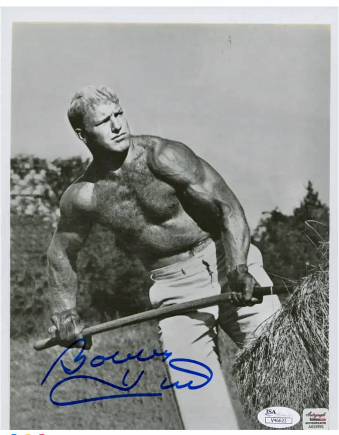 A black and white photo of a shirtless and muscular Bobby Hull throwing hay on a farm.