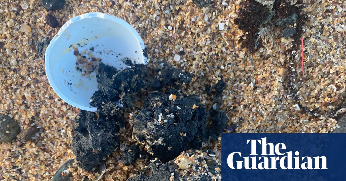 New poo balls on Sydney beaches after revelation of huge fatberg stuck in treatment plant | New South Wales