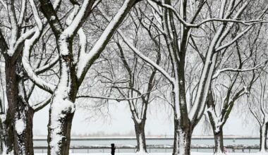 Bitterly cold temperatures continue in GTA