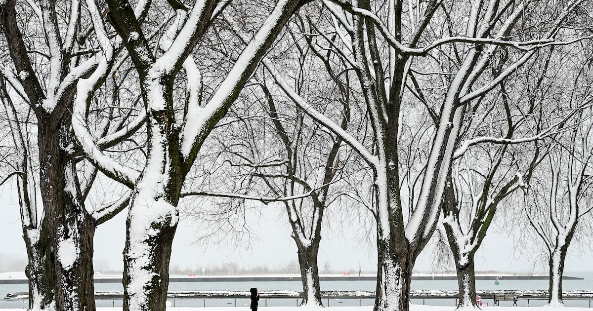 Bitterly cold temperatures continue in GTA