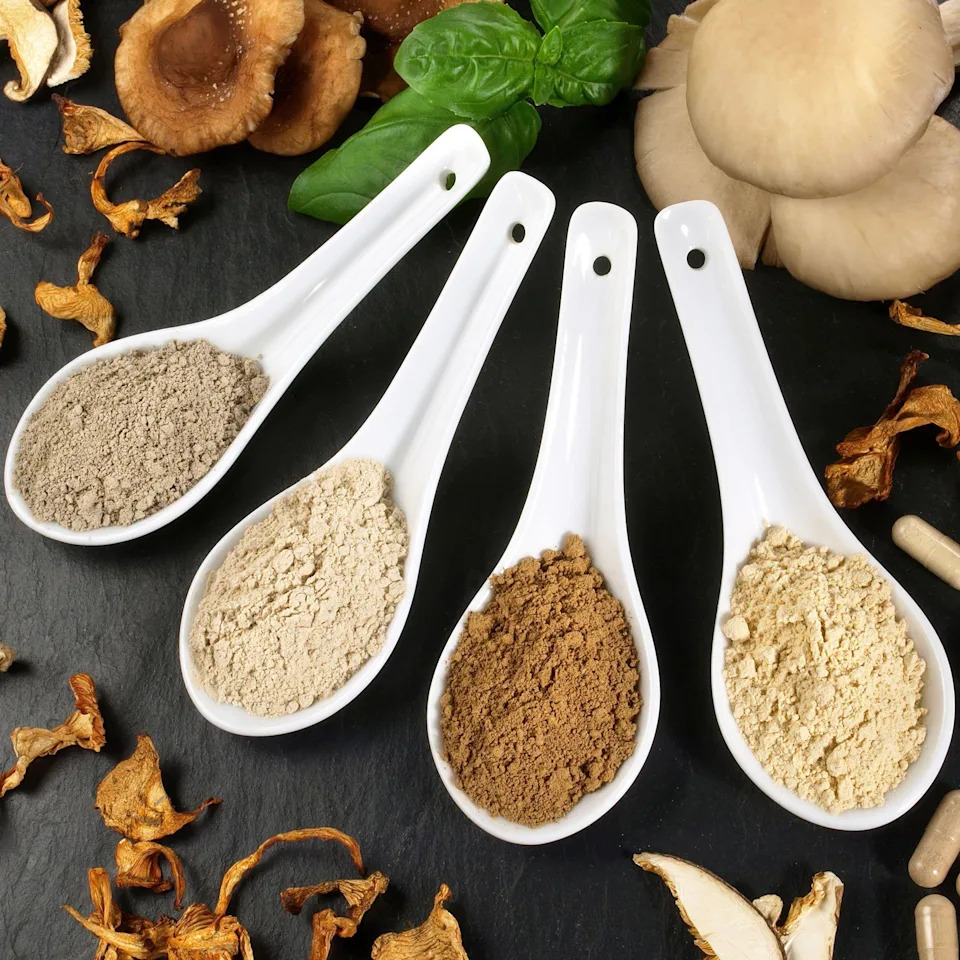 Medicinal mushroom powders. Four different types of mushroom powders on spoons with the various mushroom types around them on a black slate