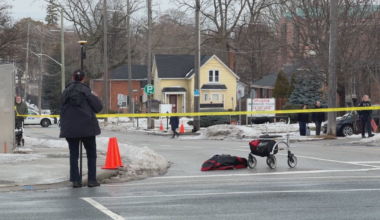 Woman, 82, fatally struck by vehicle in Whitby
