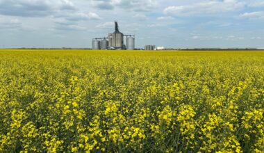 Ottawa’s biofuels subsidies come into force as country tries to stay competitive with U.S.