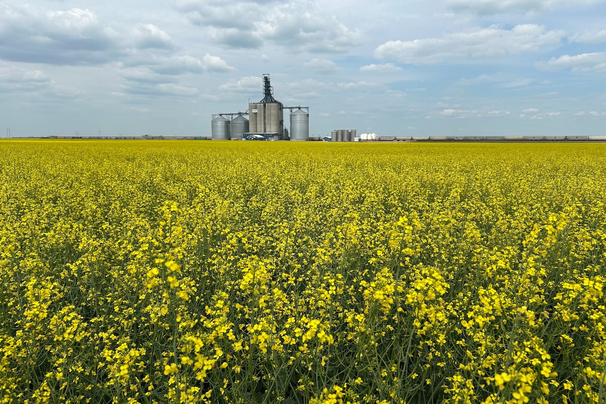Ottawa’s biofuels subsidies come into force as country tries to stay competitive with U.S.