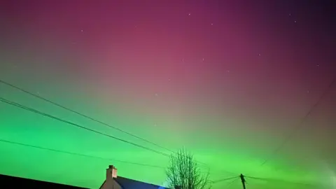 BBC Weather Watchers/Nowhere Girl A gradient of green and magenta aurora light stretches across the night sky above rooftops, overhead power lines, and a leafless tree.