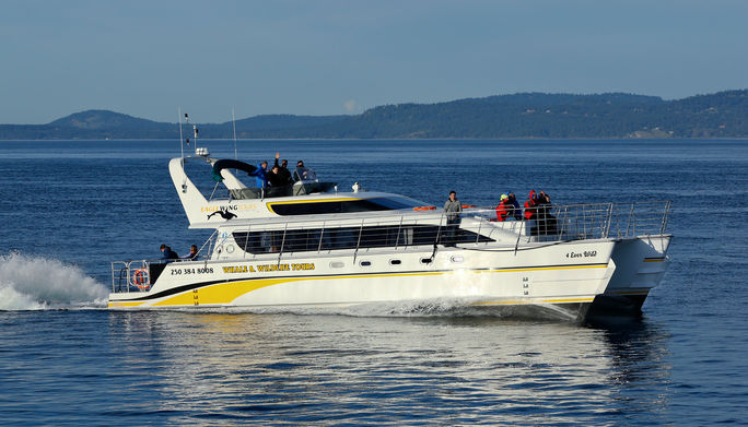 4 Ever Wild Eagle Wing boat 4 Ever Wild Eagle Wing boat