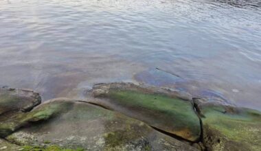 The oil was observed along the shoreline at Cable Bay on Monday, January 5. (Submitted photo)