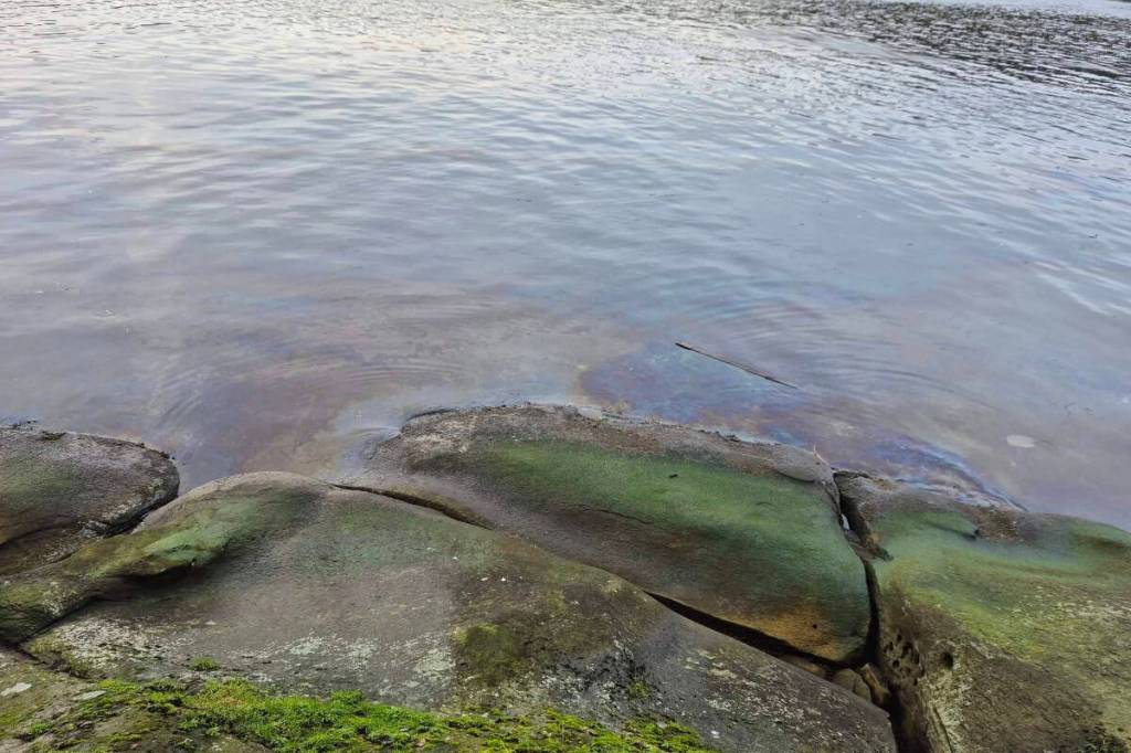 The oil was observed along the shoreline at Cable Bay on Monday, January 5. (Submitted photo)