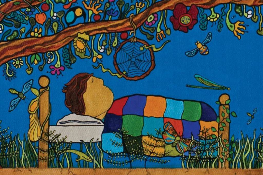 Dreamcatcher: Grandmother&rsquo;s Web is written by David Bouchard and illustrated by Kristy Cameron. (Courtesy Medicine Wheel Publishing)