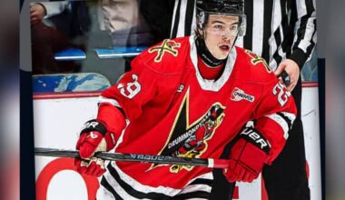 The Vernon Vipers have signed forward Thomas Duhamel. (vernonvipers.com)