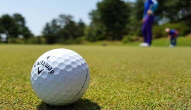 Nico Wynd Golf Club men&rsquo;s club have released a limited number of available memberships for the 2026 season at the South Surrey course. (Black Press file photo)
