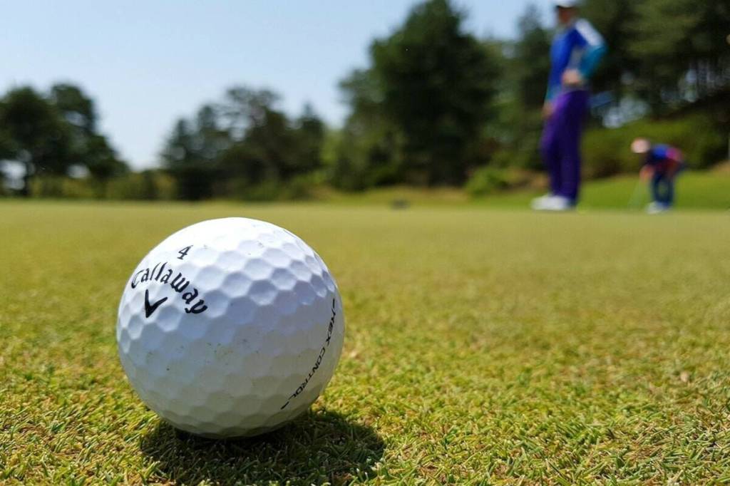 Nico Wynd Golf Club men&rsquo;s club have released a limited number of available memberships for the 2026 season at the South Surrey course. (Black Press file photo)