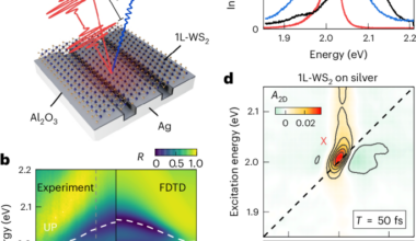 Ultrafast transition from coherent to incoherent polariton nonlinearities in a hybrid 1L-WS2/plasmon structure