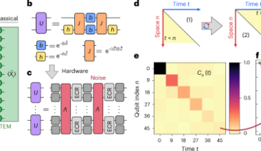 Dynamical simulations of many-body quantum chaos on a quantum computer