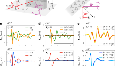 Dynamic magneto-chiral instability in photoexcited tellurium