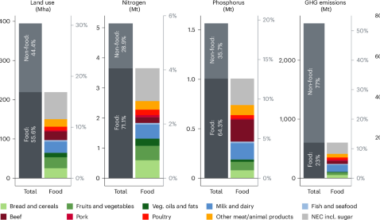 Environmental impacts from European food consumption can be reduced with carbon pricing or a value-added tax reform