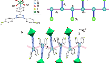 Emergence of Kondo-assisted Néel order in a Kondo necklace model