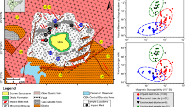 Shock demagnetization in an ambient magnetic field at the Dhala impact structure, India