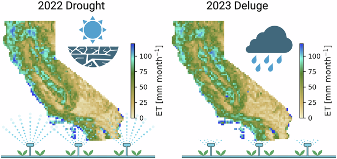 Human contributions to evapotranspiration mitigate swings in dry-to-wet year transitions