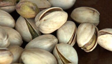 Canada-wide pistachio recall expands, includes Peace By Chocolate products - CTV News