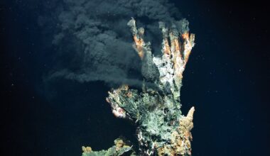 How the ocean’s hydrothermal systems made the first life on Earth possible