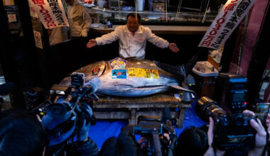 Photos show record-breaking $3.2M bluefin tuna sold at Tokyo's first fish auction of 2026