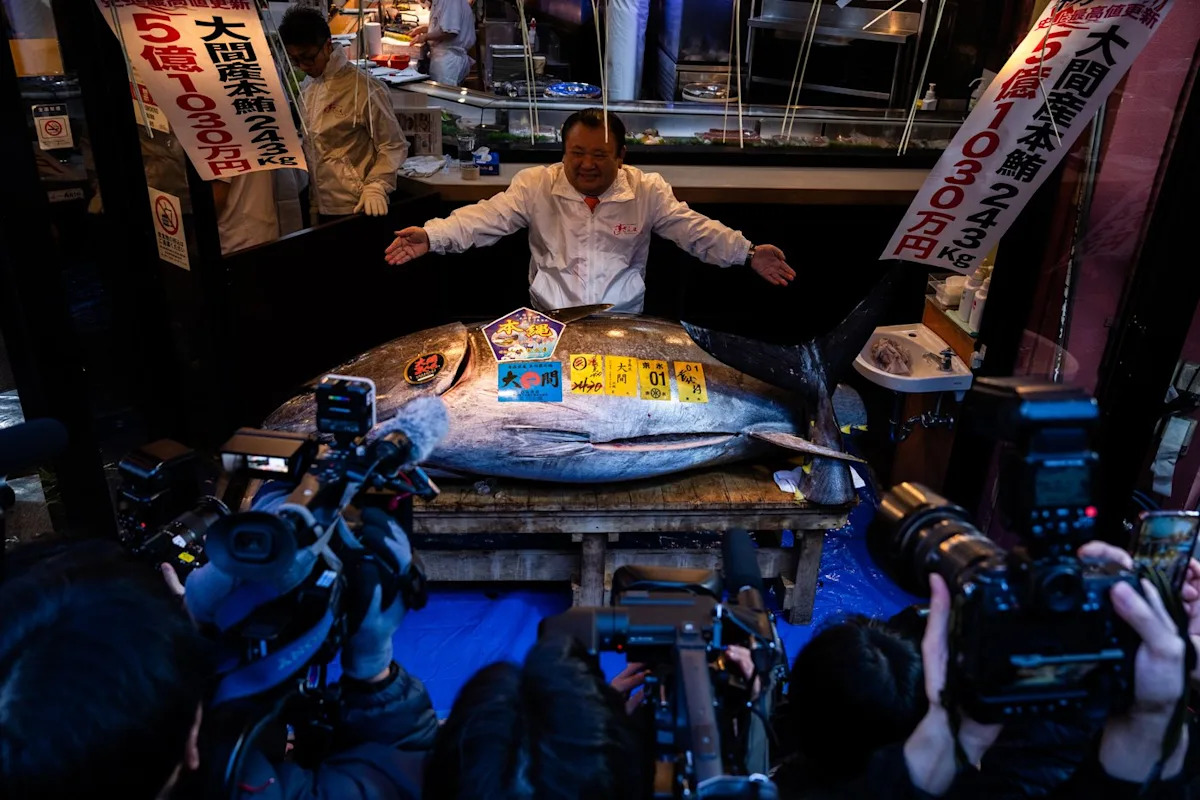 Photos show record-breaking $3.2M bluefin tuna sold at Tokyo's first fish auction of 2026