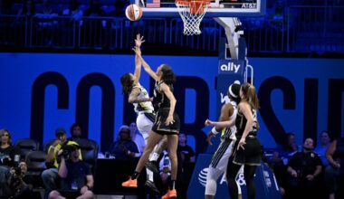 WNBA and union agree to moratorium on league business