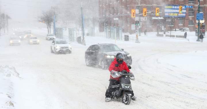 Snow day: Toronto digs itself out of mountains of snow after record storm - Toronto
