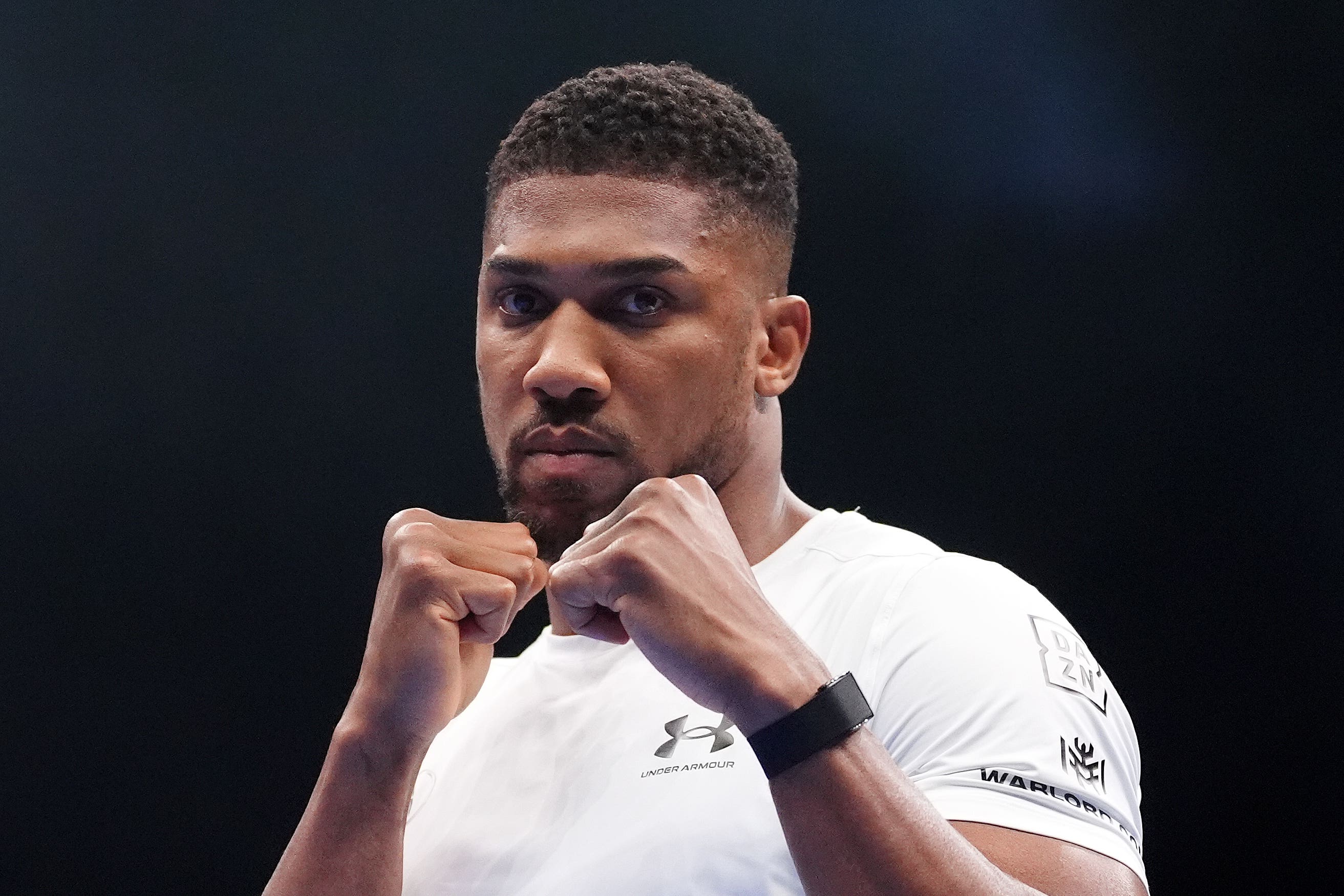 British boxer Anthony Joshua has been released from hospital in Nigeria (PA)